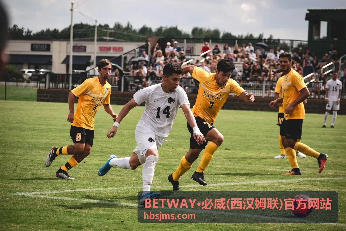 BETWAY·必威(西汉姆联)官方网站 - 赛事竞猜活动