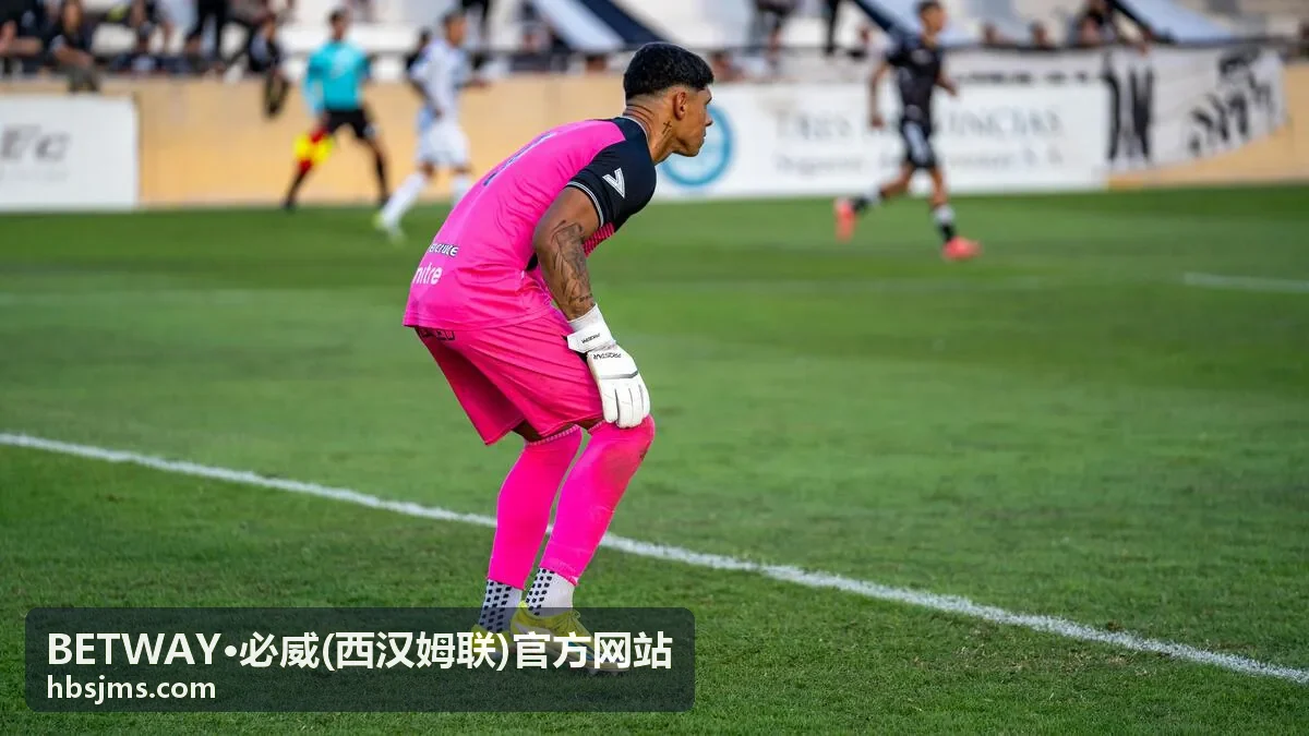 BETWAY·必威(西汉姆联)官方网站 - 独家内容专栏